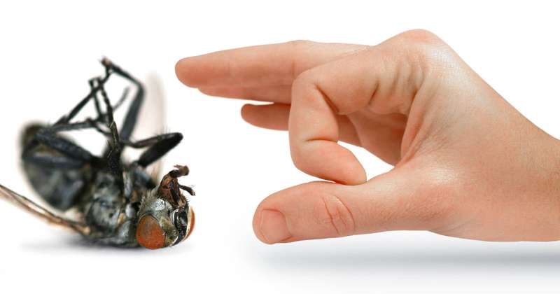 Beekeeping and Hive Management Services Beekeeping and Hive Management Services